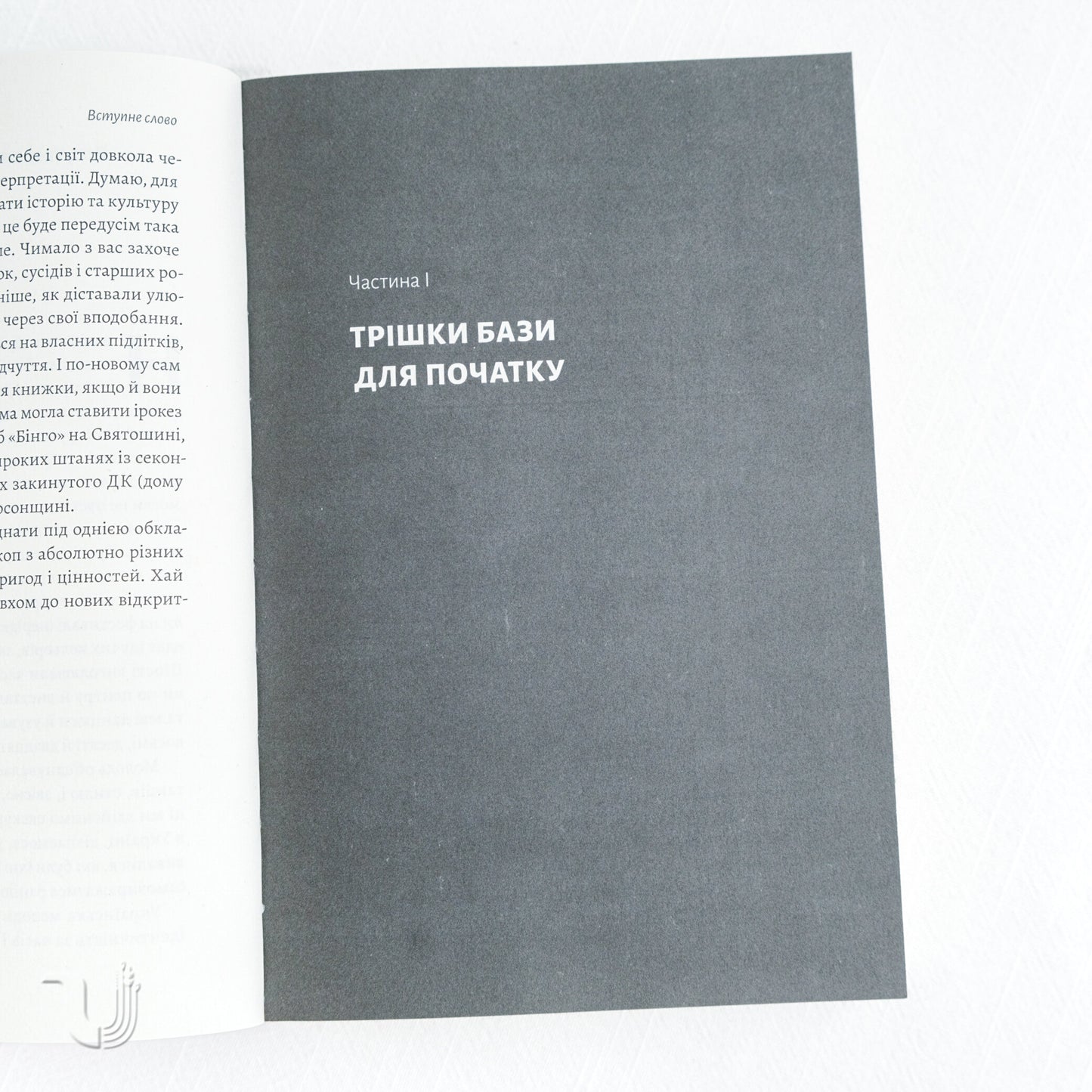 Dreads, Battles, and "Steals": Two Centuries of Subcultures in Ukraine