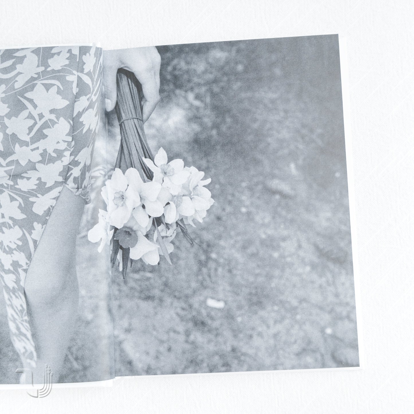 The Politics of Memory