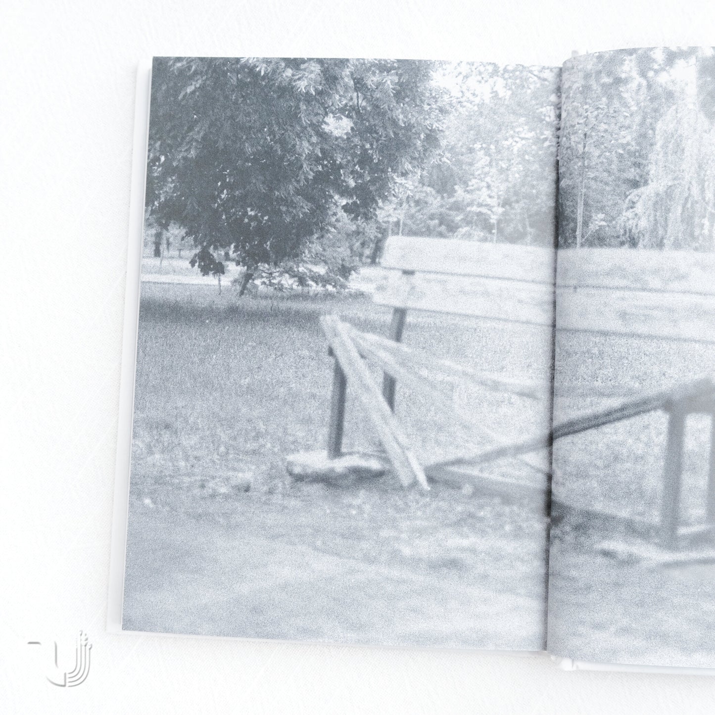 The Politics of Memory