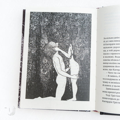 The Novel of Tristan and Isolde