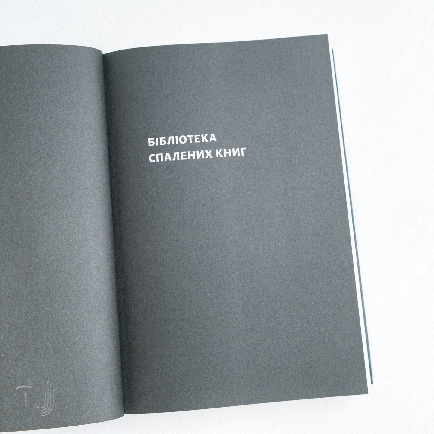 The Librarian of Burned Books