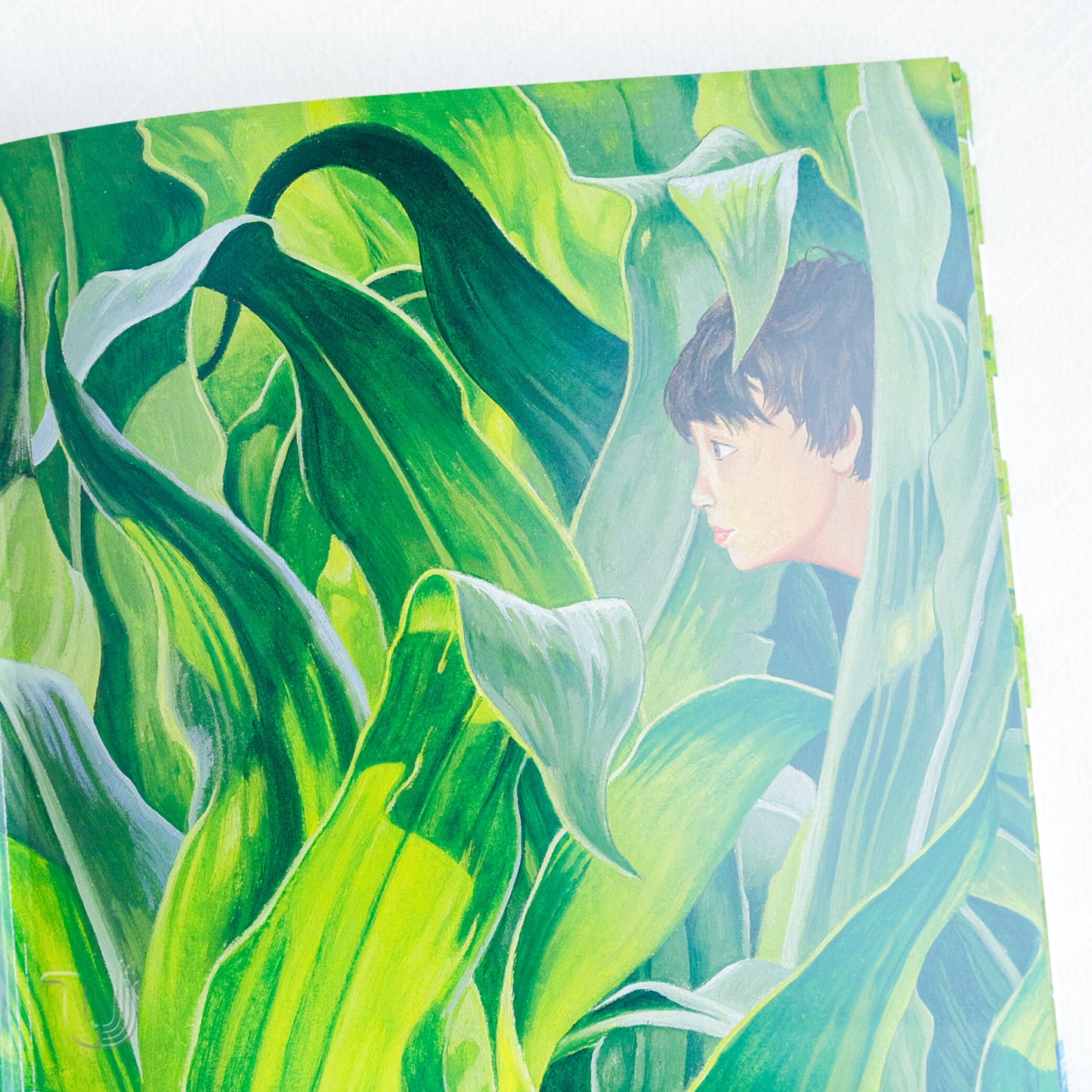 Bullfighters from Vasyukivka (Large illustrated edition)