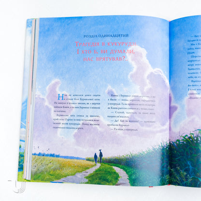 Bullfighters from Vasyukivka (Large illustrated edition)