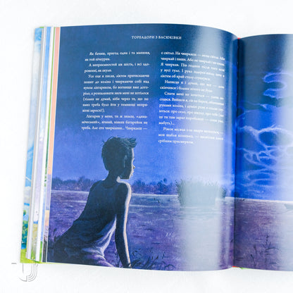 Bullfighters from Vasyukivka (Large illustrated edition)