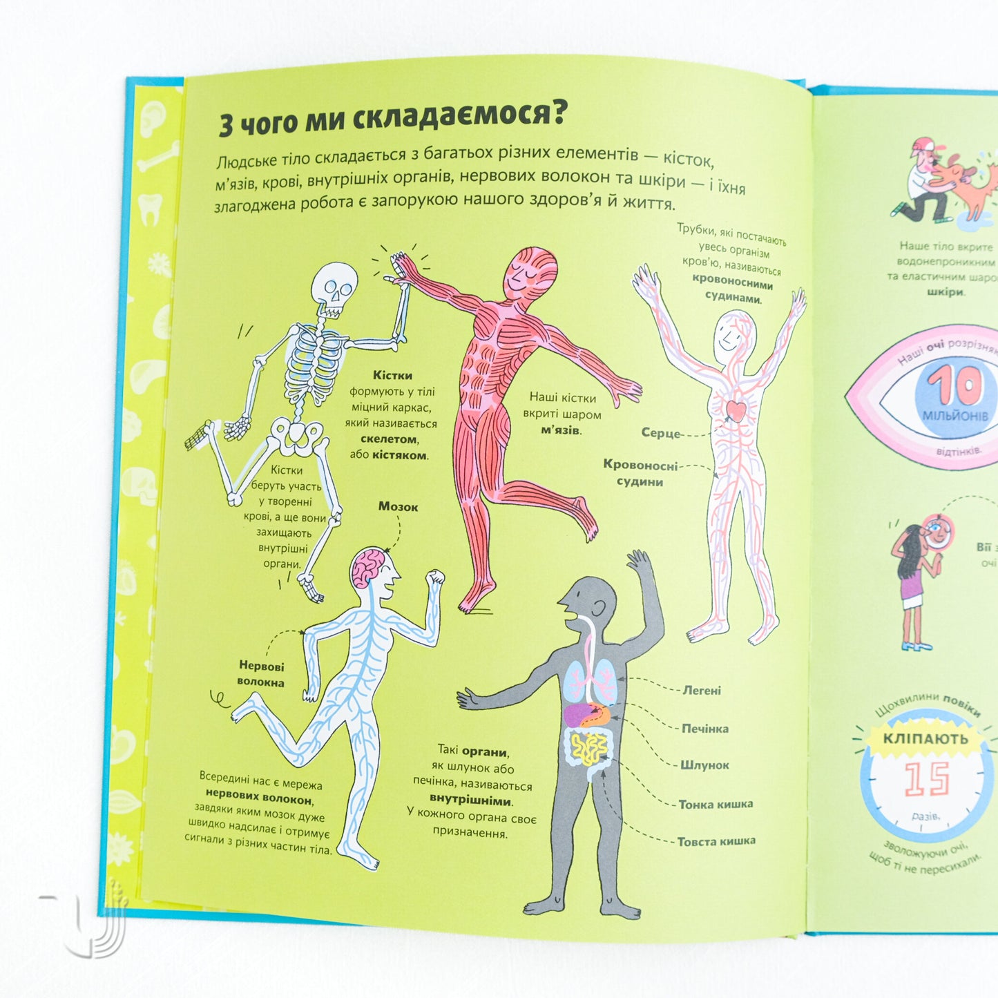 The big book about the body