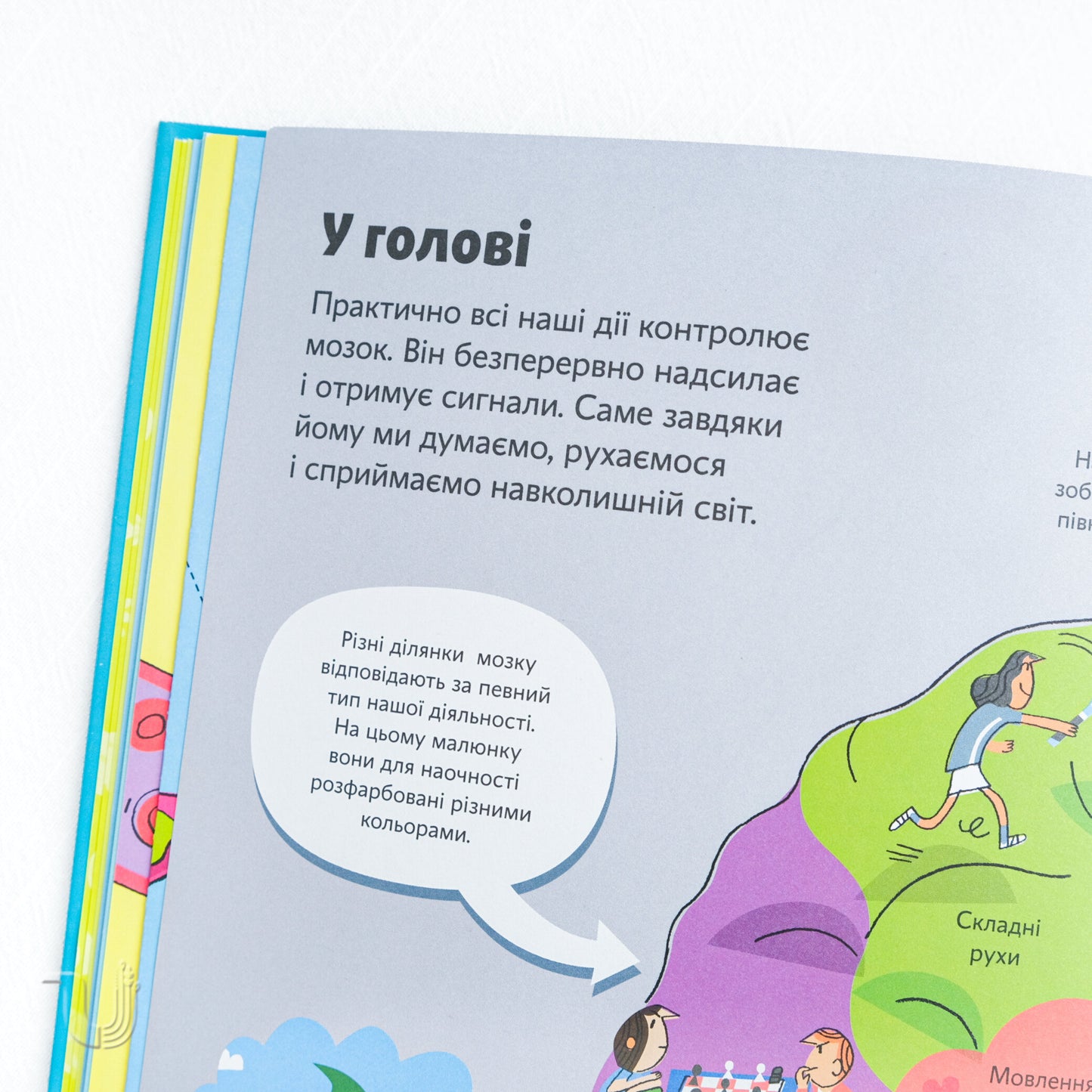 The big book about the body