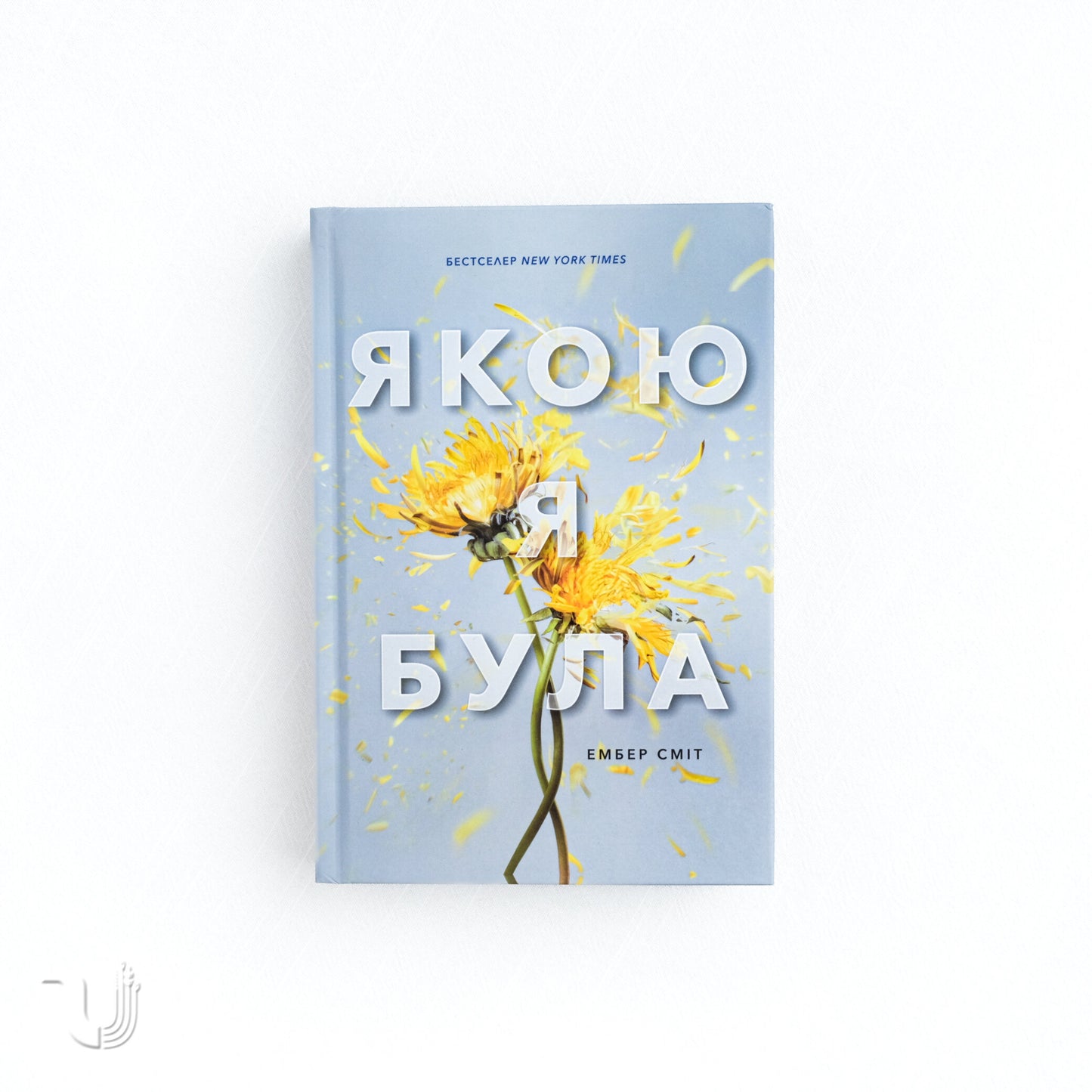 The Way I Used to Be