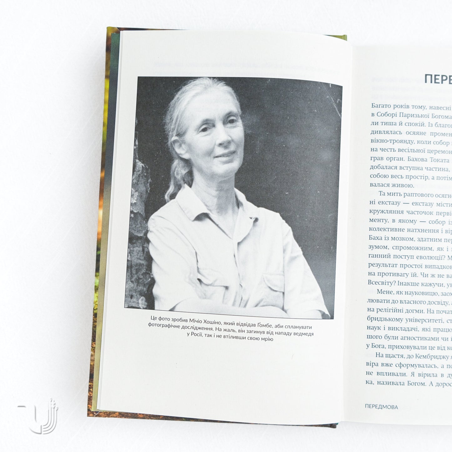 У пошуках надії