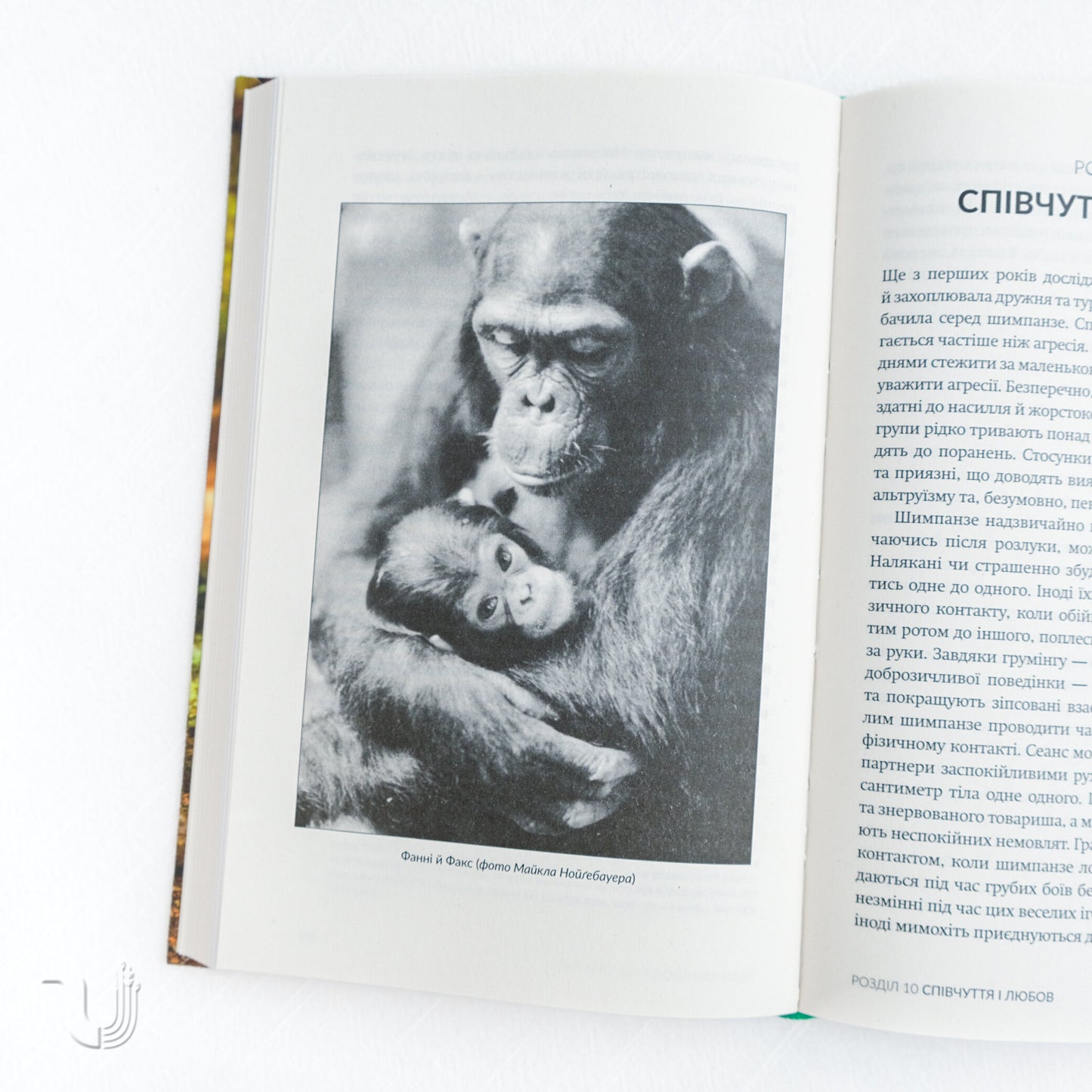 У пошуках надії