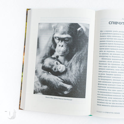 У пошуках надії