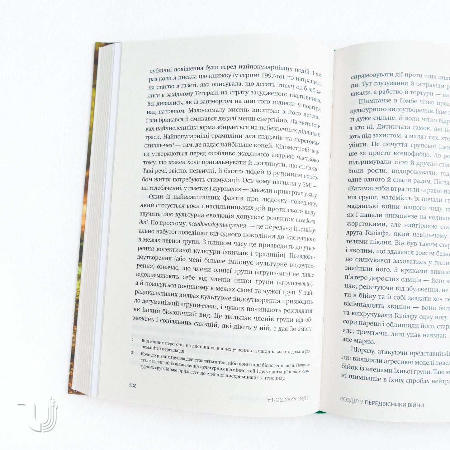 У пошуках надії