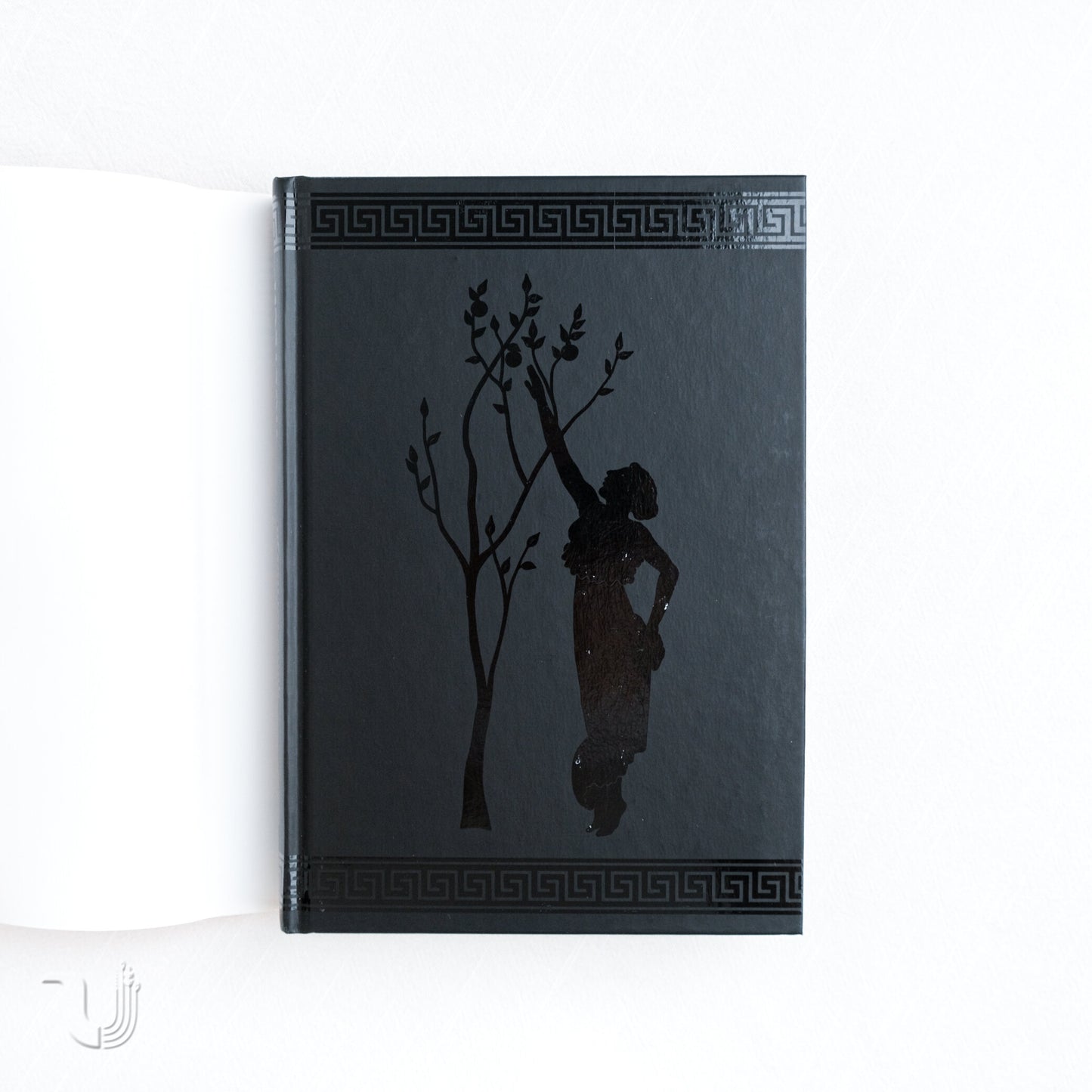 The First Poets: Codex of Ancient Greek Women's Poetry