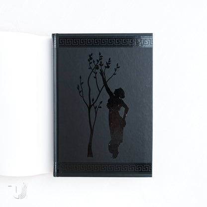 The First Poets: Codex of Ancient Greek Women's Poetry