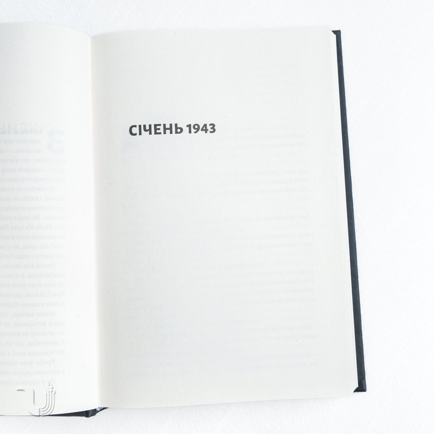 Girl in the Blue Coat