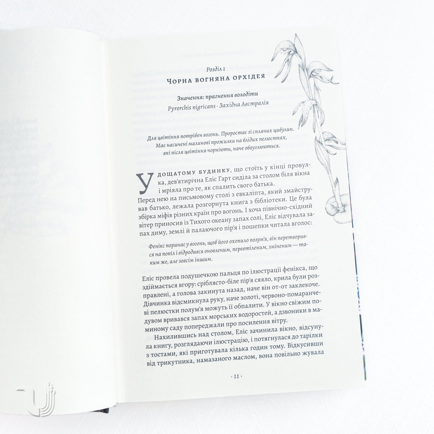 The Lost Flowers of Alice Hart