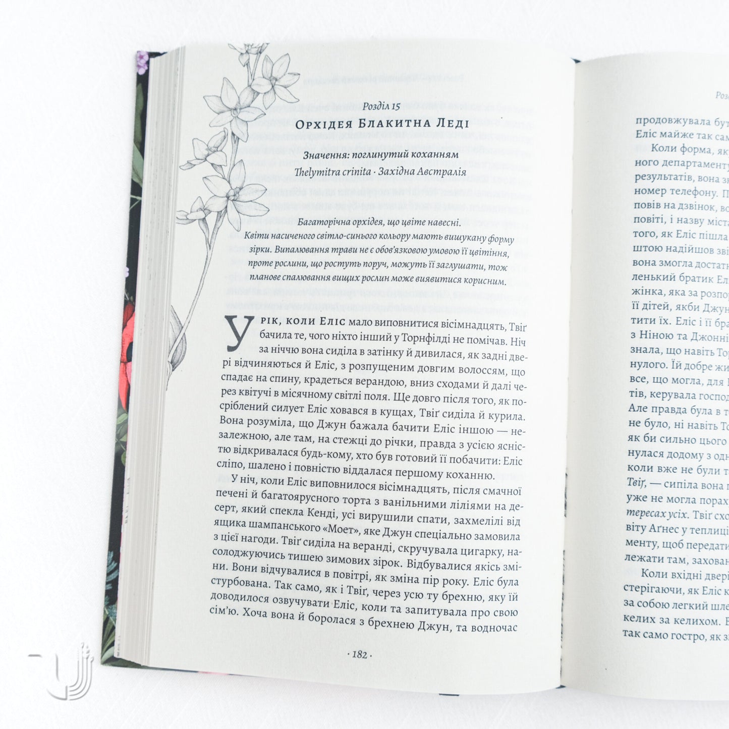 The Lost Flowers of Alice Hart