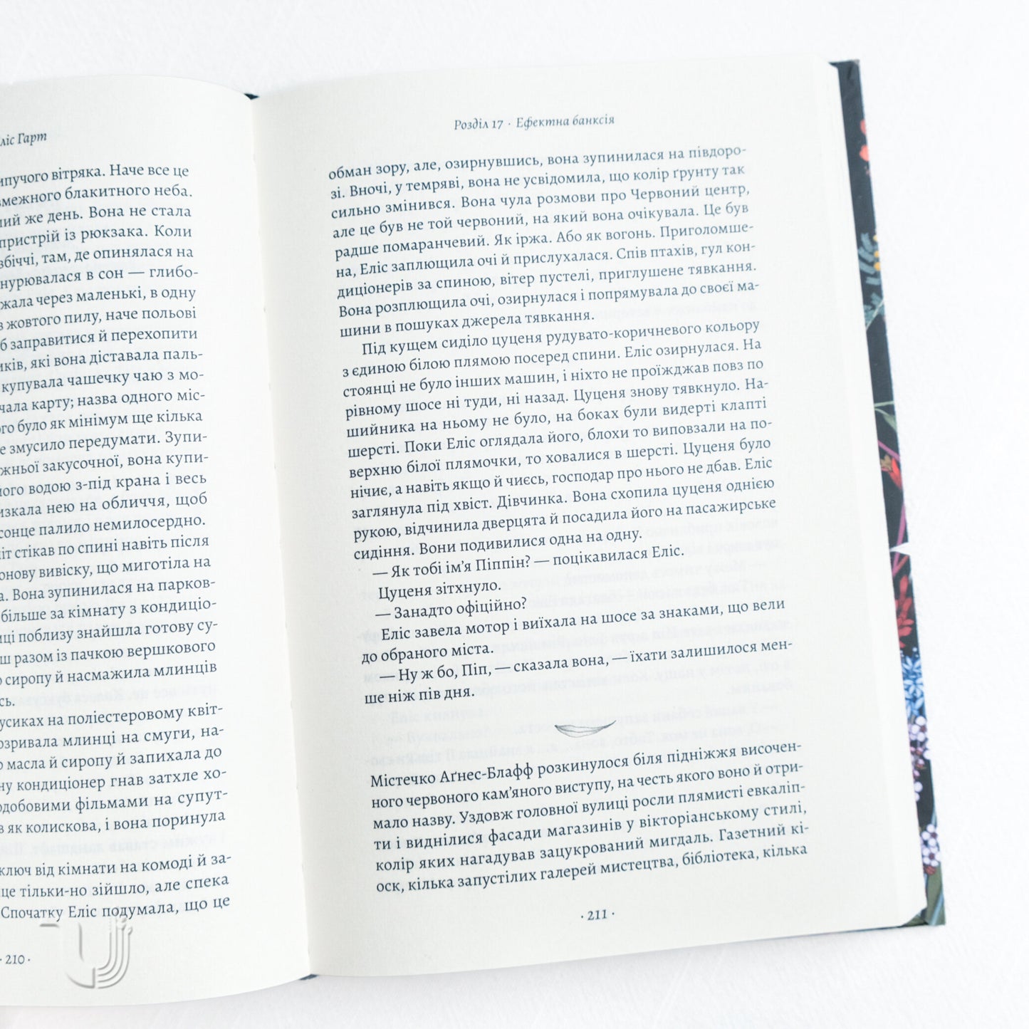 The Lost Flowers of Alice Hart