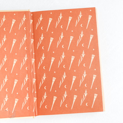 Under the Starry Sky