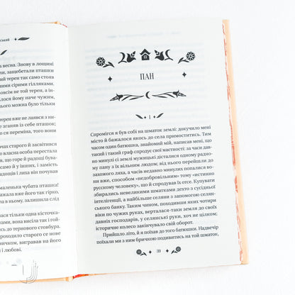 Under the Starry Sky