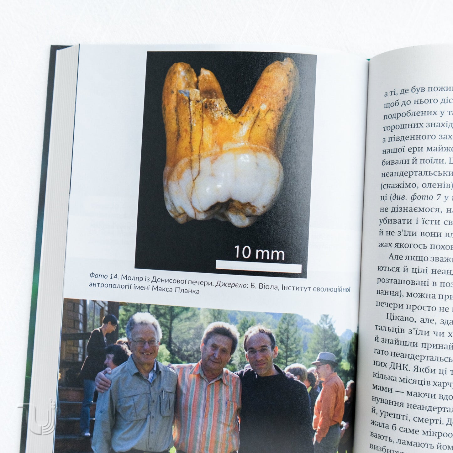 Неандерталець