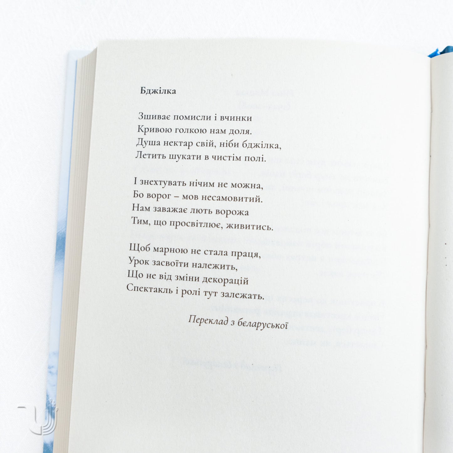 The Flowers of Nostalgia