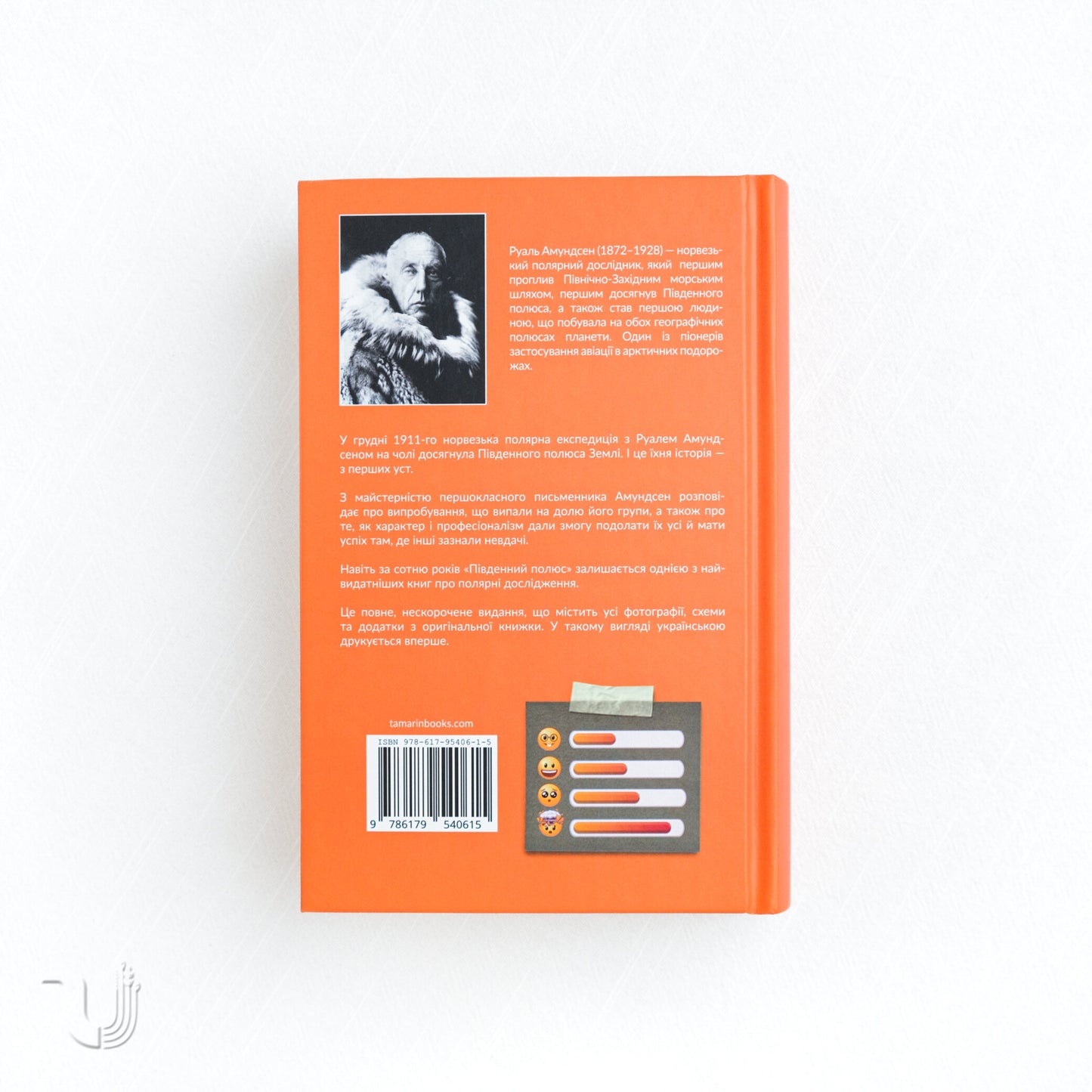 Південний полюс