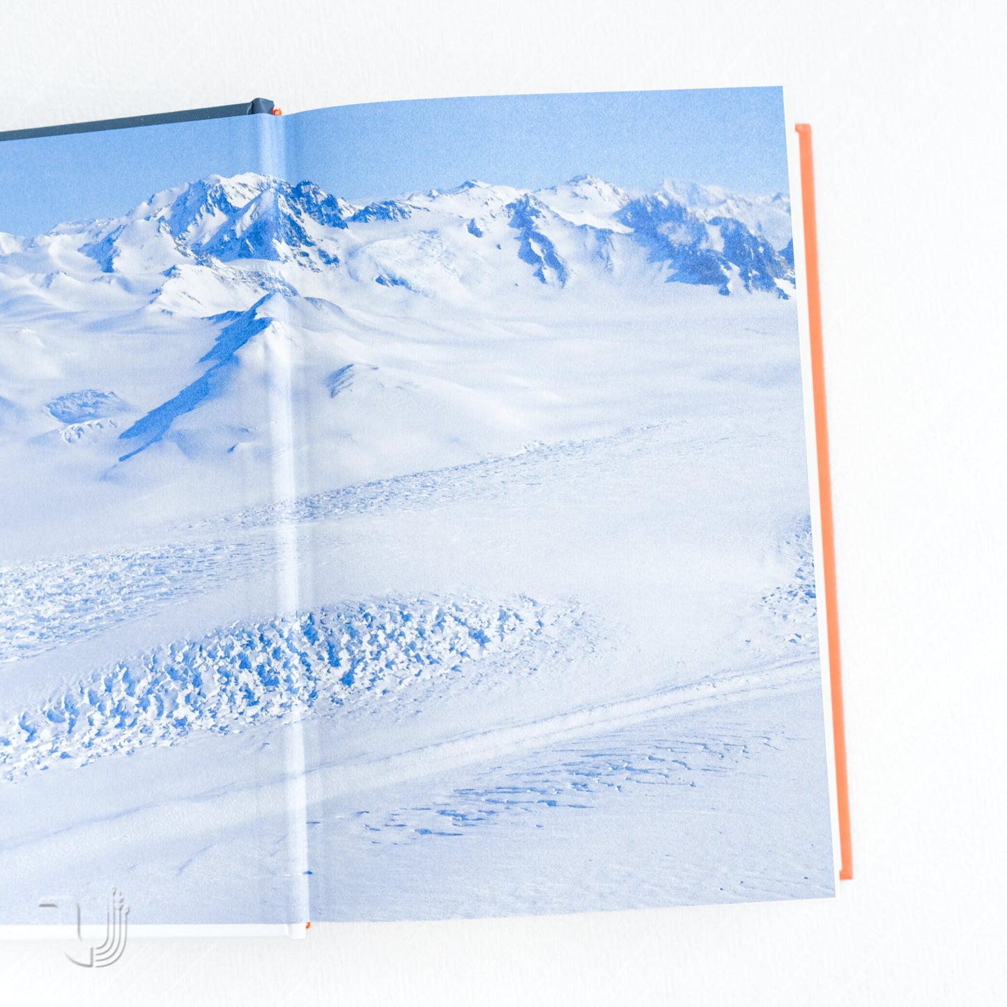 Південний полюс