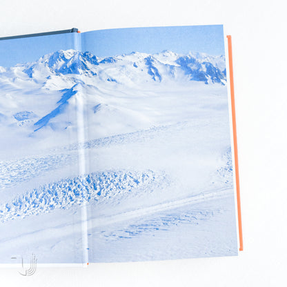 Південний полюс