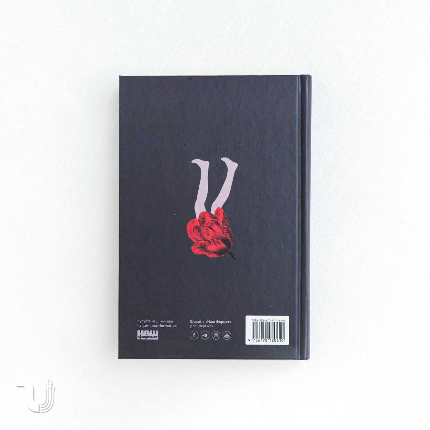 Everything I Never Told You