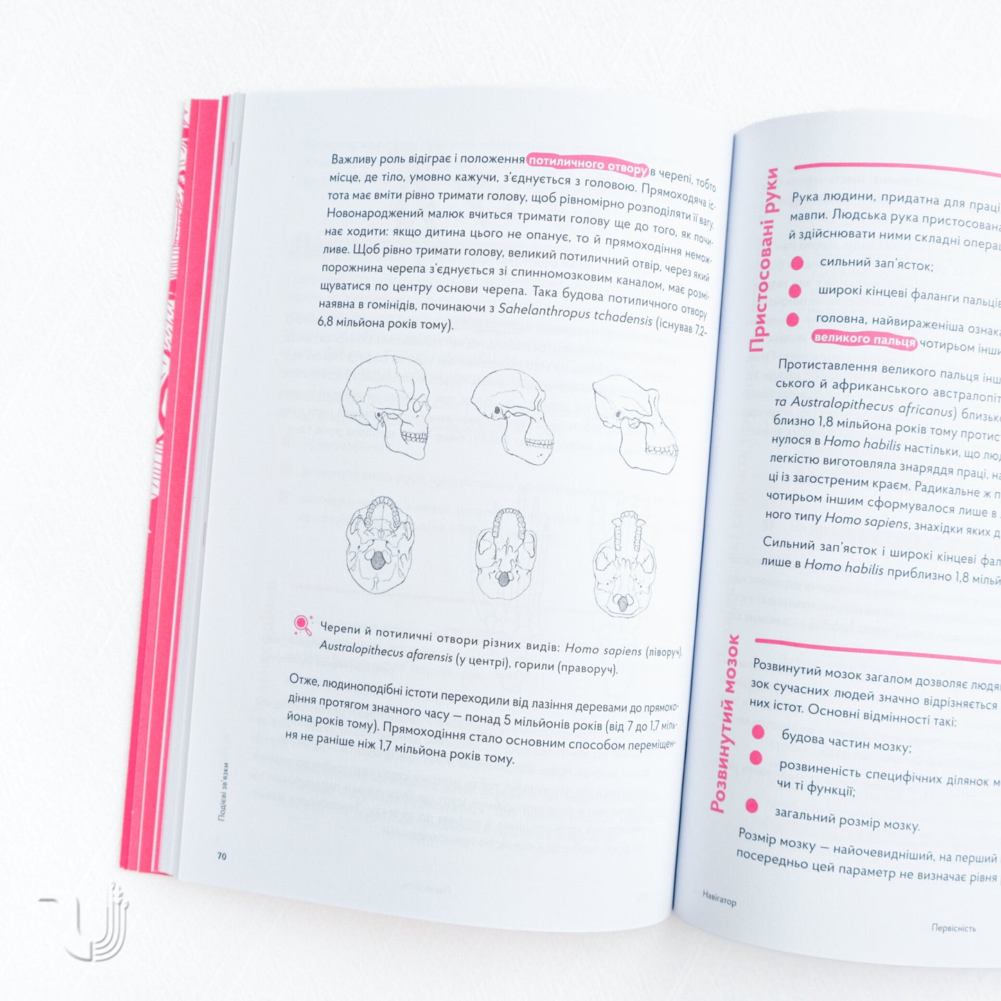 Navigator to the History of Ukraine: «Prehistory»